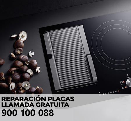Reparación averías placa de cocción Cointra